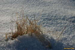 Frozen steam
