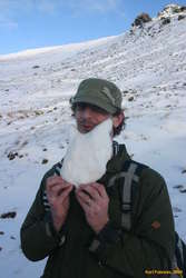 Snow beard
