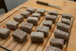 Fresh lamingtons
