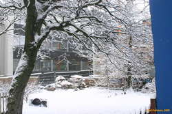 Snowy neighbourhood
