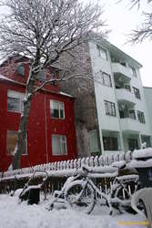 Snowflakes falling
