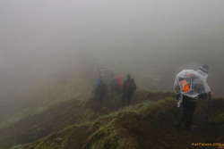 Dropping down from on high
