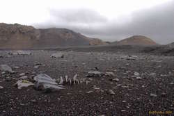 Desolation on the high plains