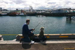 Learning how to fish
