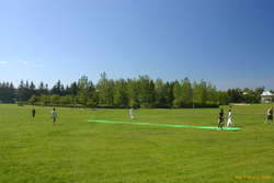 Cricket on Miklatún
