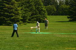 Learning to bat
