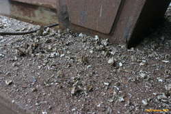 Barnacle rubble
