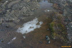 Spring is coming, snow is melting

