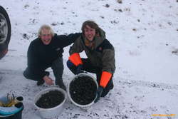 Big loads of shellfish
