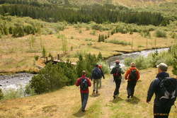 The beginning of the walk.
