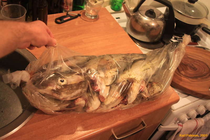 Thanks Bjöggi! Guess it's fish experimentation week!

