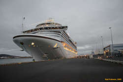 The 'Emerald Princess' is fairly large.
