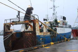 The smallest little stern trawler I've seen
