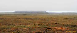 Autumn under cloud on Lyngdalsheiði
