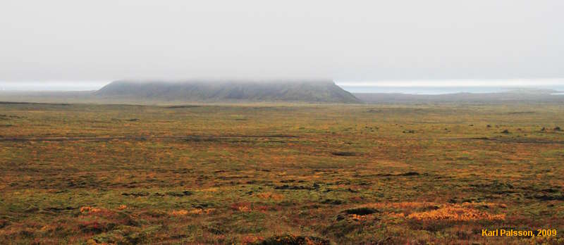 Autumn under cloud on Lyngdalsheiði
