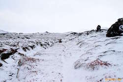 Sheep tracks through the hills
