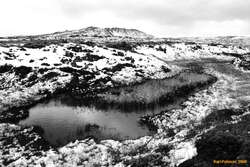 Pond

