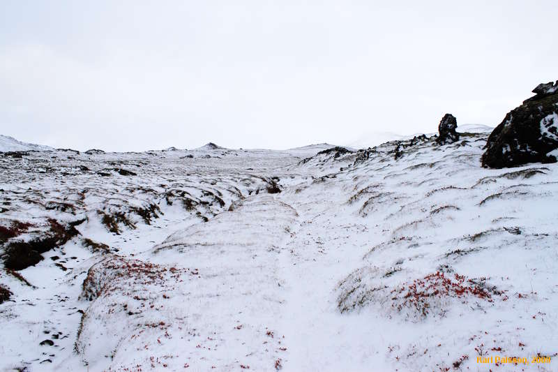Sheep tracks through the hills
