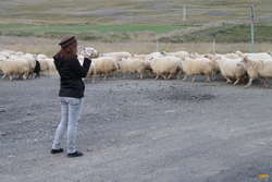 Kata filming

