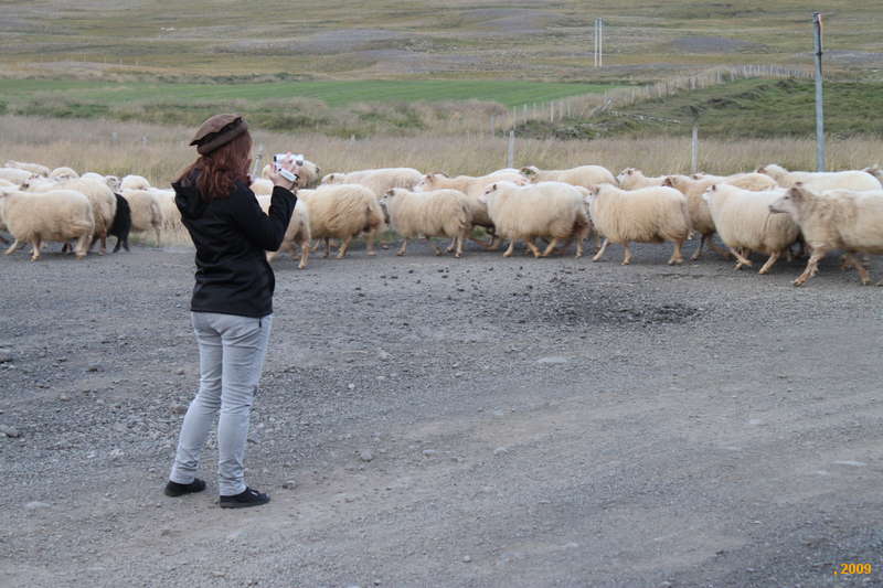 Kata filming
