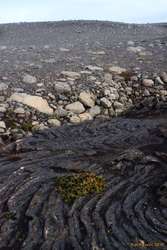 Edge of the lava