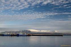 Calm day in the harbour