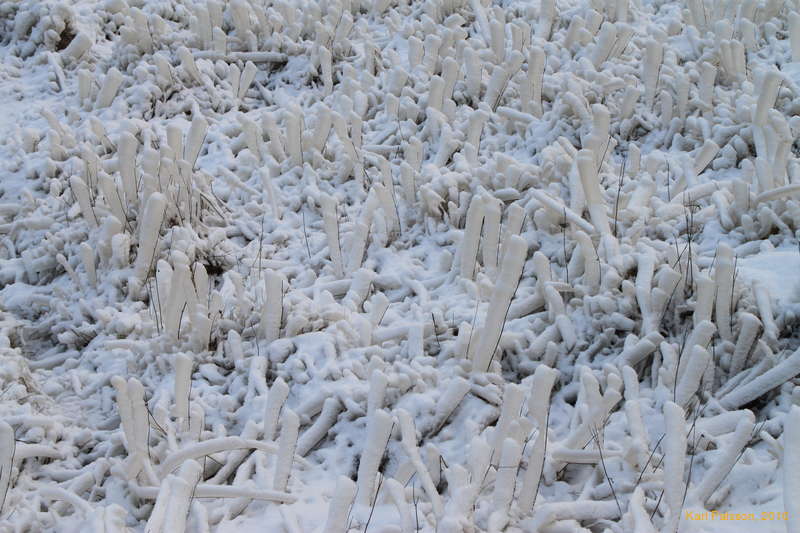 A touch of frost