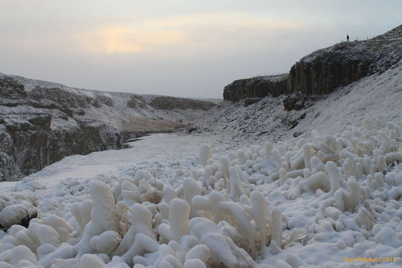 Marshmallow plains