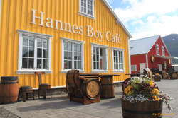 New cafe in town
