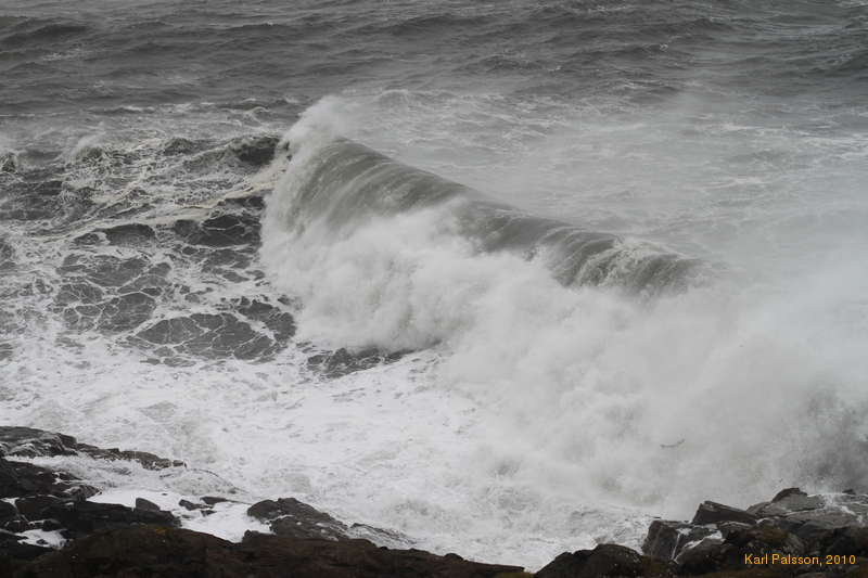 Waves