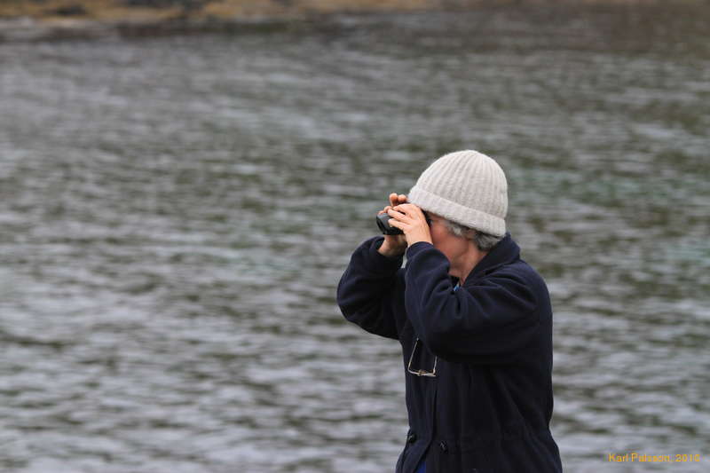 Mum the birdwatcher