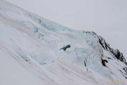 Steep ice