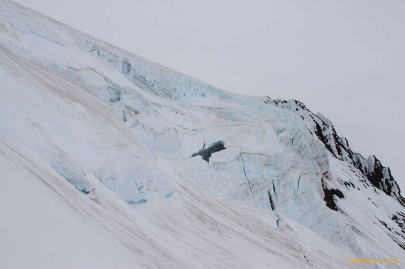 Steep ice