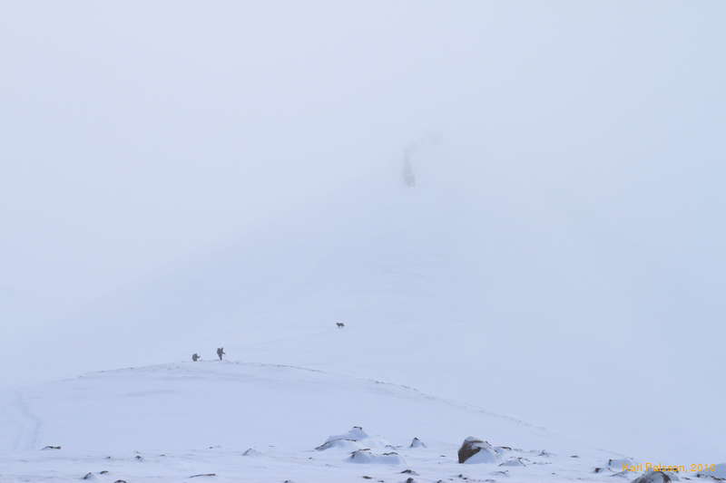 Up into the beyond