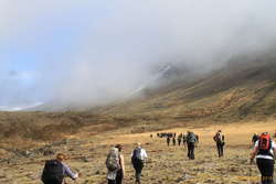 Up into the fog