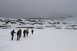 Up into the snow