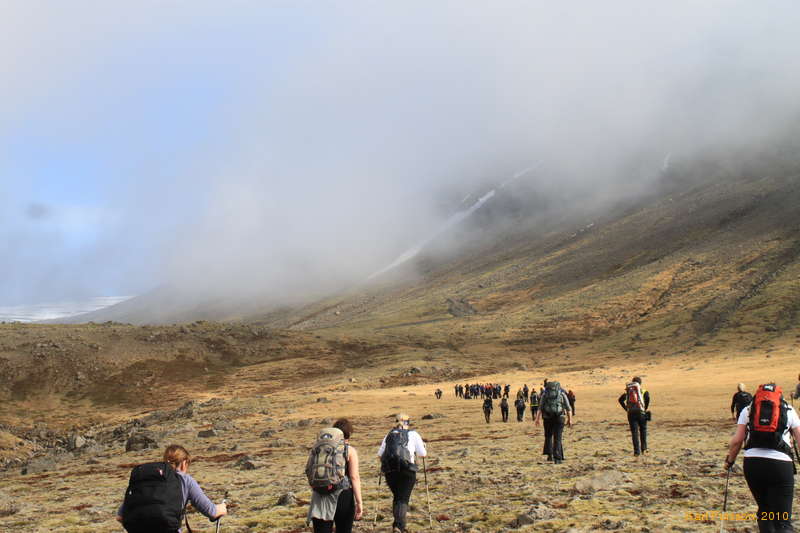 Up into the fog