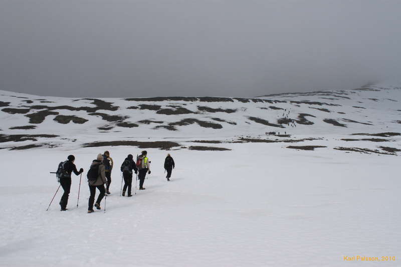 Up into the snow