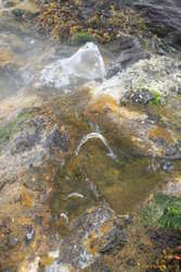 Hot water jets 