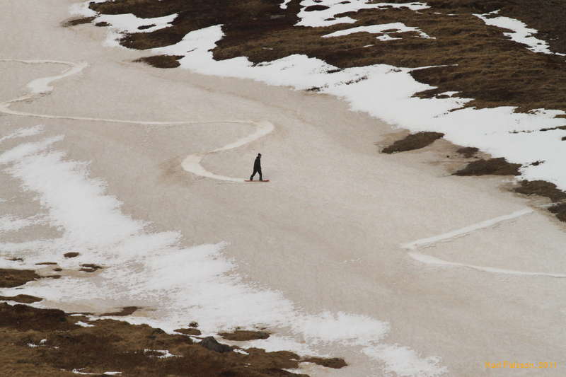 Fresh tracks!