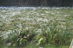 Late snow