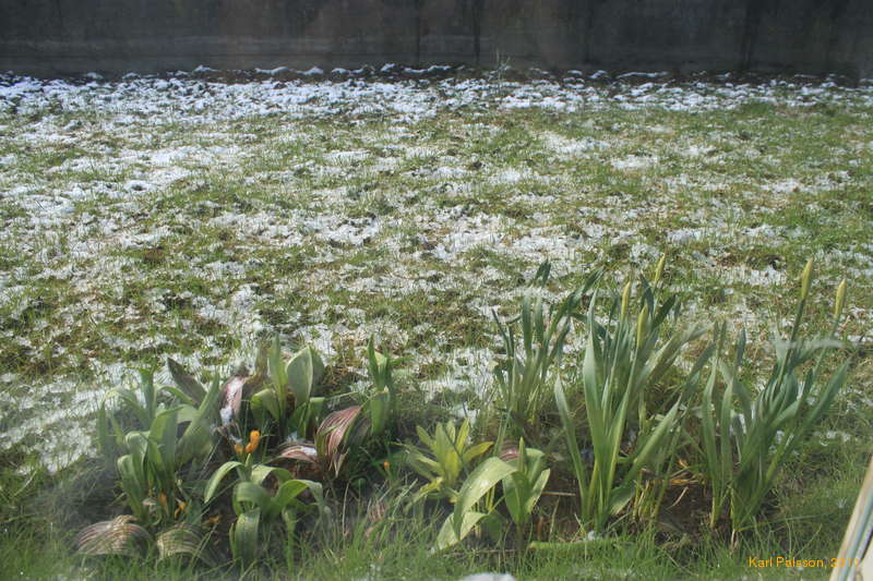 Late snow