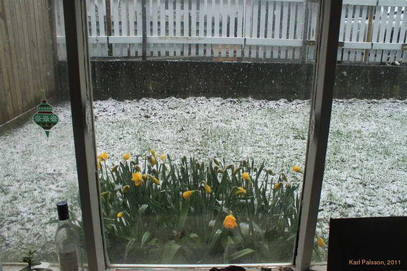 Even later snow!