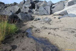 The start of Rangá