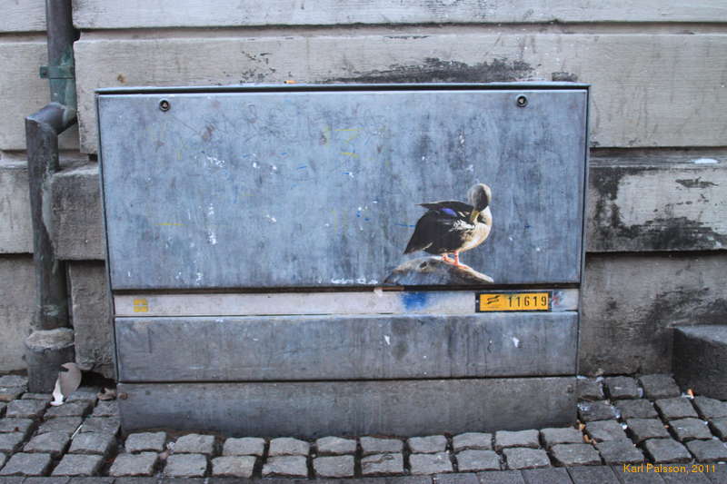 The birds