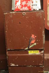 The birds