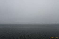 Misty afternoon