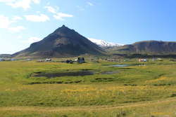 Arnarstapi