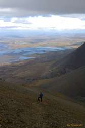 Logi on the way up