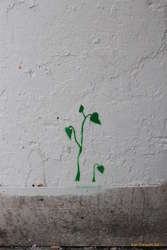Growing paint